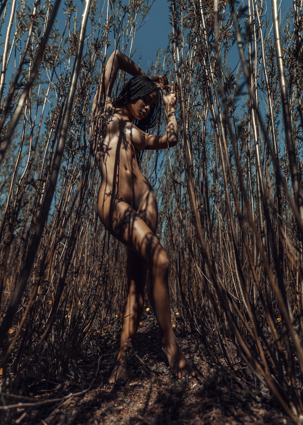 Lauriix Jiimenezz020228,10